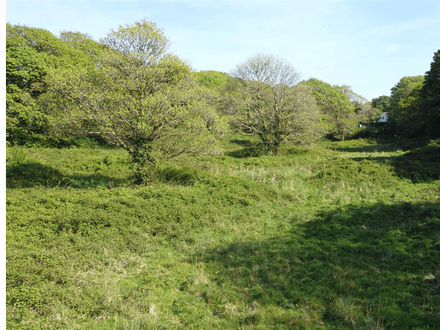 Land, Calloose Lane - Nr Hayle