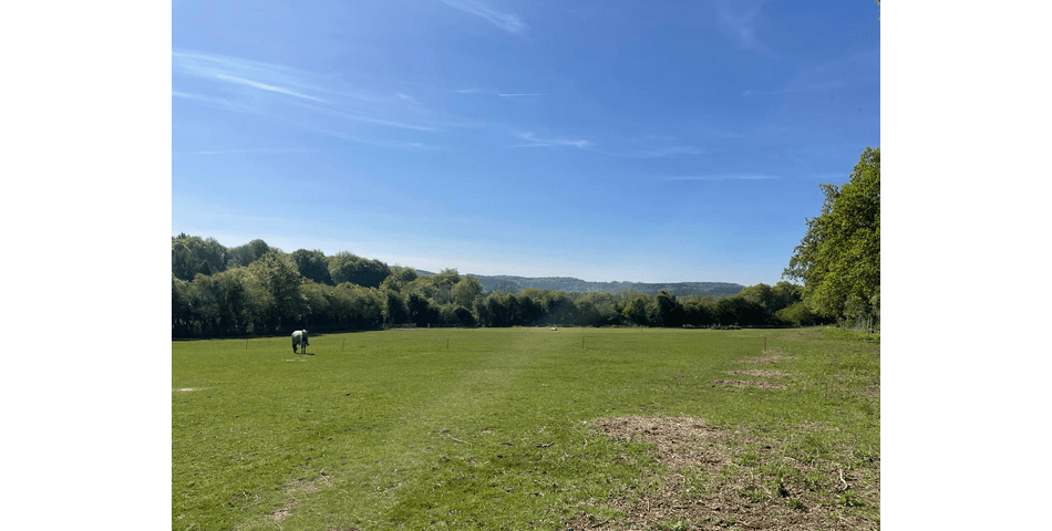 Property Image 0