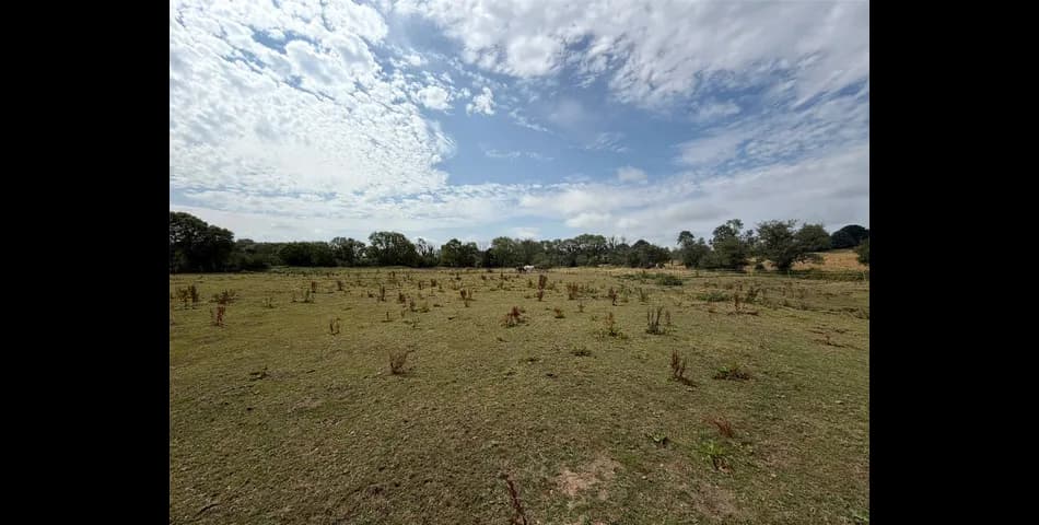 Property Image 0