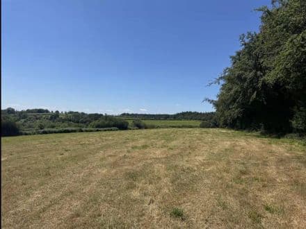 Land at Staple Hill - Buckland St Mary