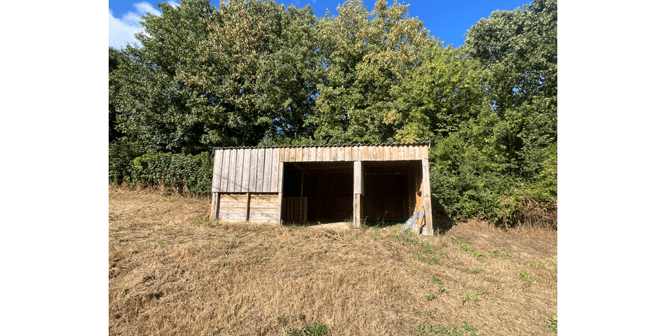 Property Image 47