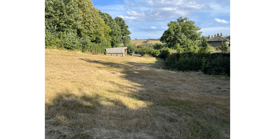 Property Image 46