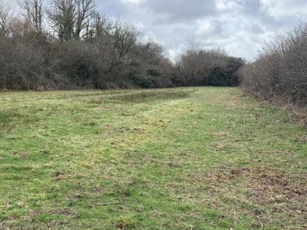 Land known as Pellows Platt - Bridestowe