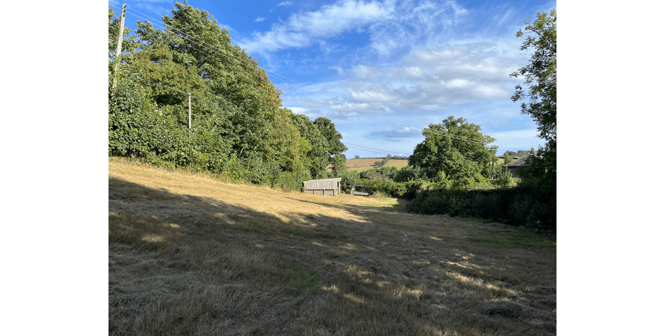 Property Image 49