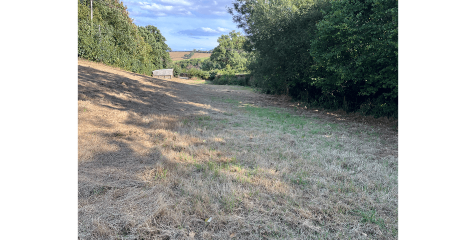 Property Image 54
