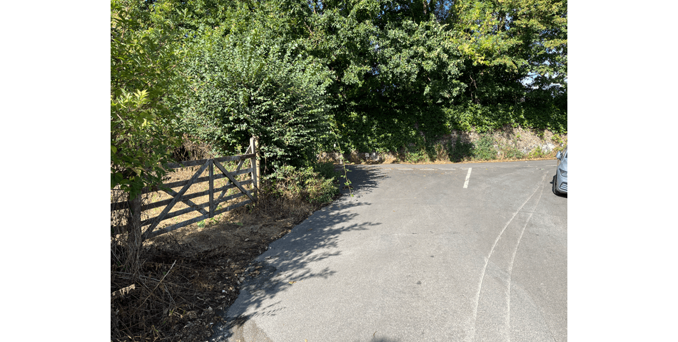 Property Image 60