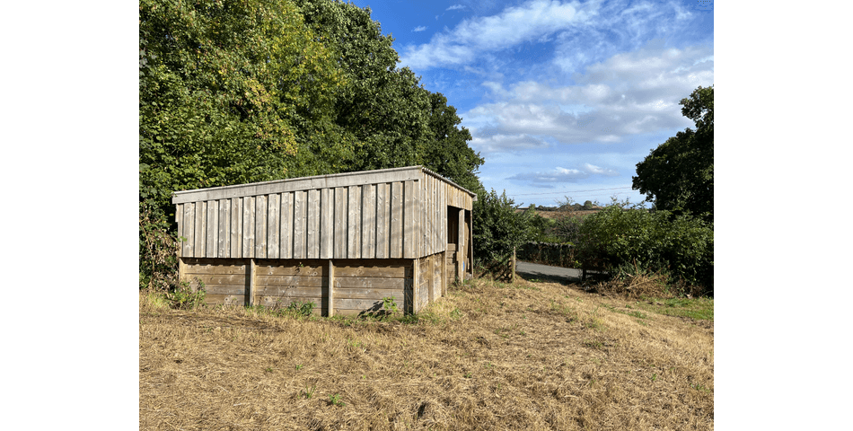 Property Image 58