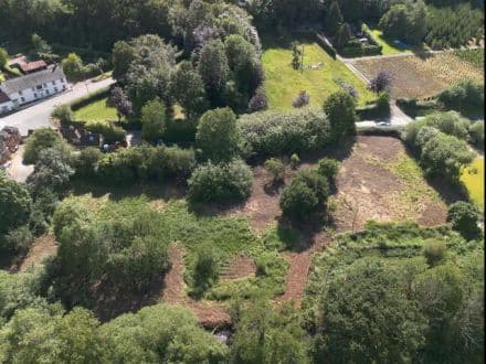 Land to the South of Mill Farm - Fairmile