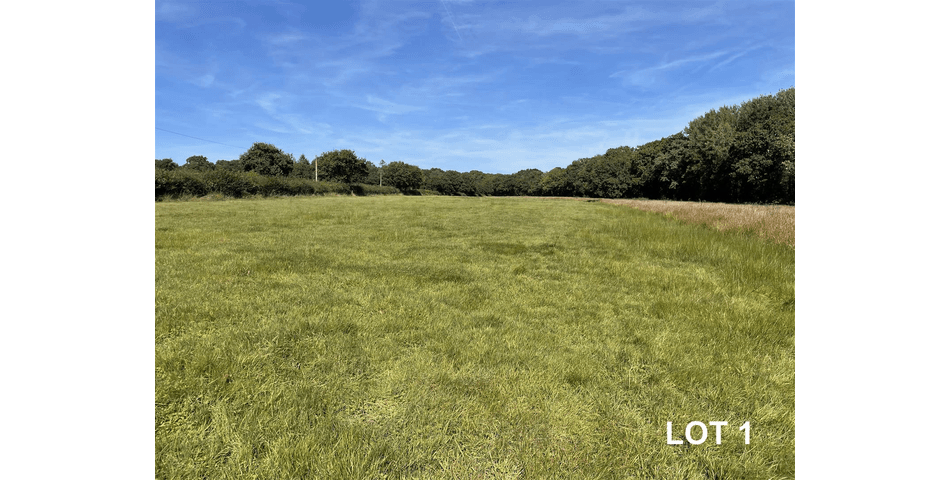 Property Image 0